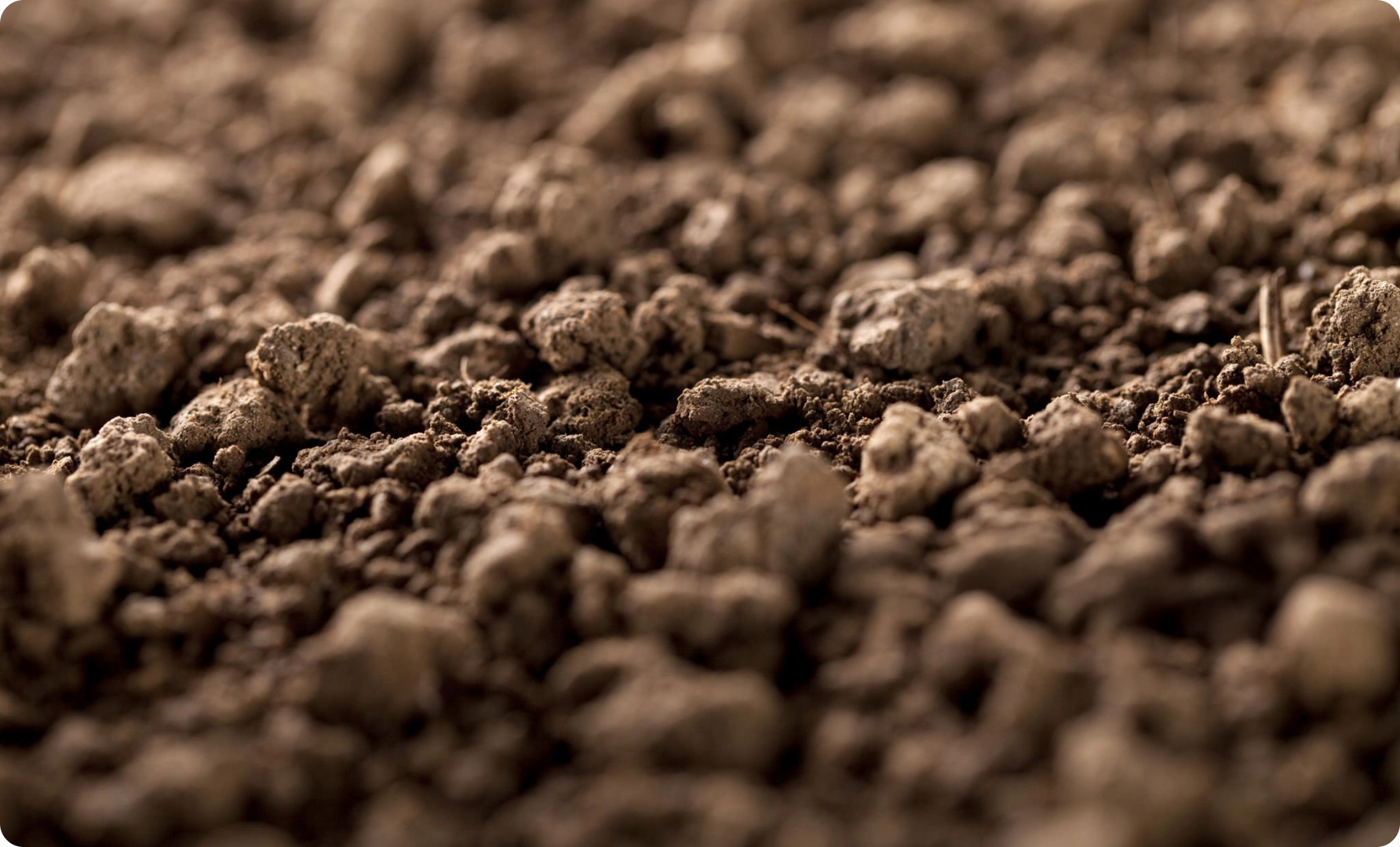 istockphoto-183431727-2048x2048